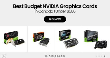 Best Budget NVIDIA GPUs Under $500 CAD (Gaming on a Budget, 2025)